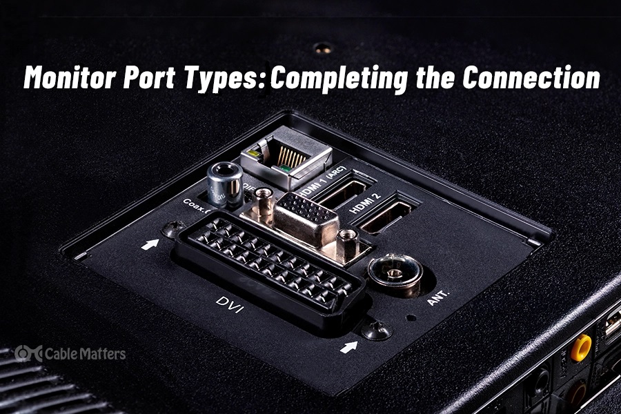 Monitor Port Types: Completing the Connection